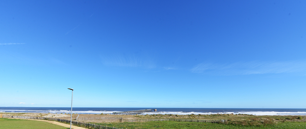 Photo of Butterstone Avenue, Hartlepool
